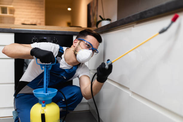 Best Mosquito Control Services  in Gibsonburg, OH