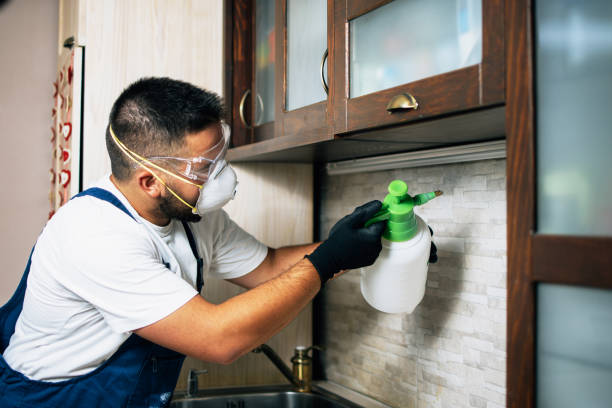Best Ant Control Services  in Gibsonburg, OH