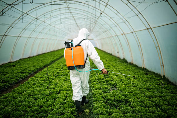 Best Residential Pest Control  in Gibsonburg, OH