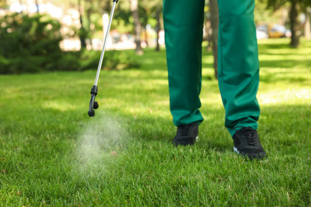 Insect Control in Gibsonburg, OH