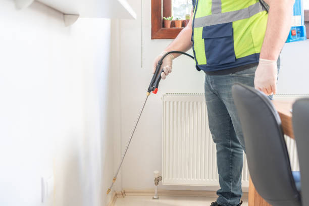 Best Termite Control Services  in Gibsonburg, OH
