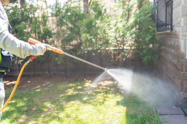 Best Mosquito Control Services  in Gibsonburg, OH