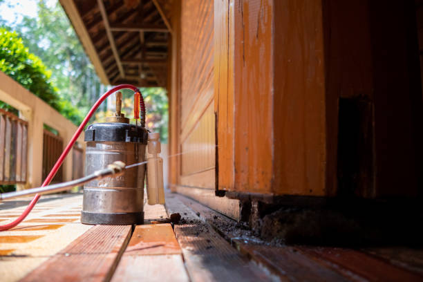 Best Cockroach Control Services  in Gibsonburg, OH