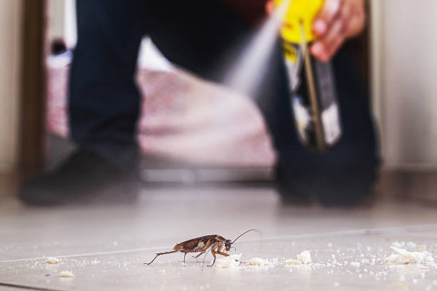 Pest Control for Restaurants in Gibsonburg, OH