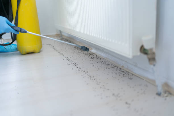 Best Best Pest Control Companies  in Gibsonburg, OH