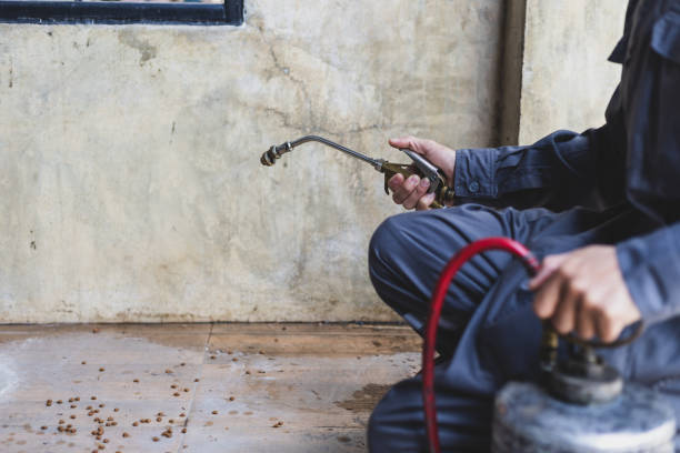 Best Rat Extermination Near Me  in Gibsonburg, OH