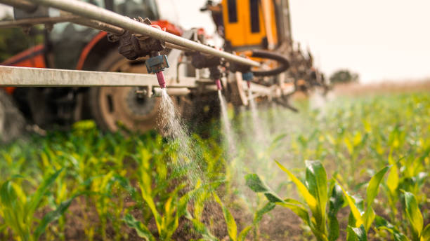 Best Commercial Pest Control Services  in Gibsonburg, OH